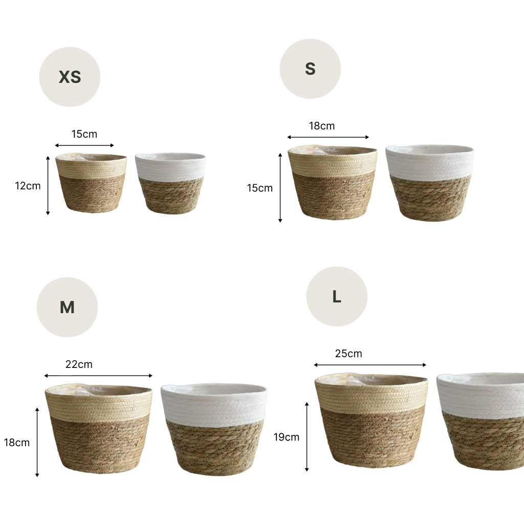 Dimensions du Panier cache pot en jonc de mer avec bordure colorée